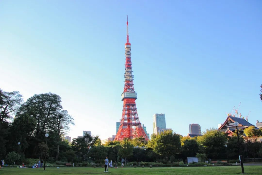 限时招募：易学国际教育日本夏令营，邀你一起探索“日本”的奥秘!！ 日本 活动 文化 名校 东京 学生 传统 艺术 名师  第14张